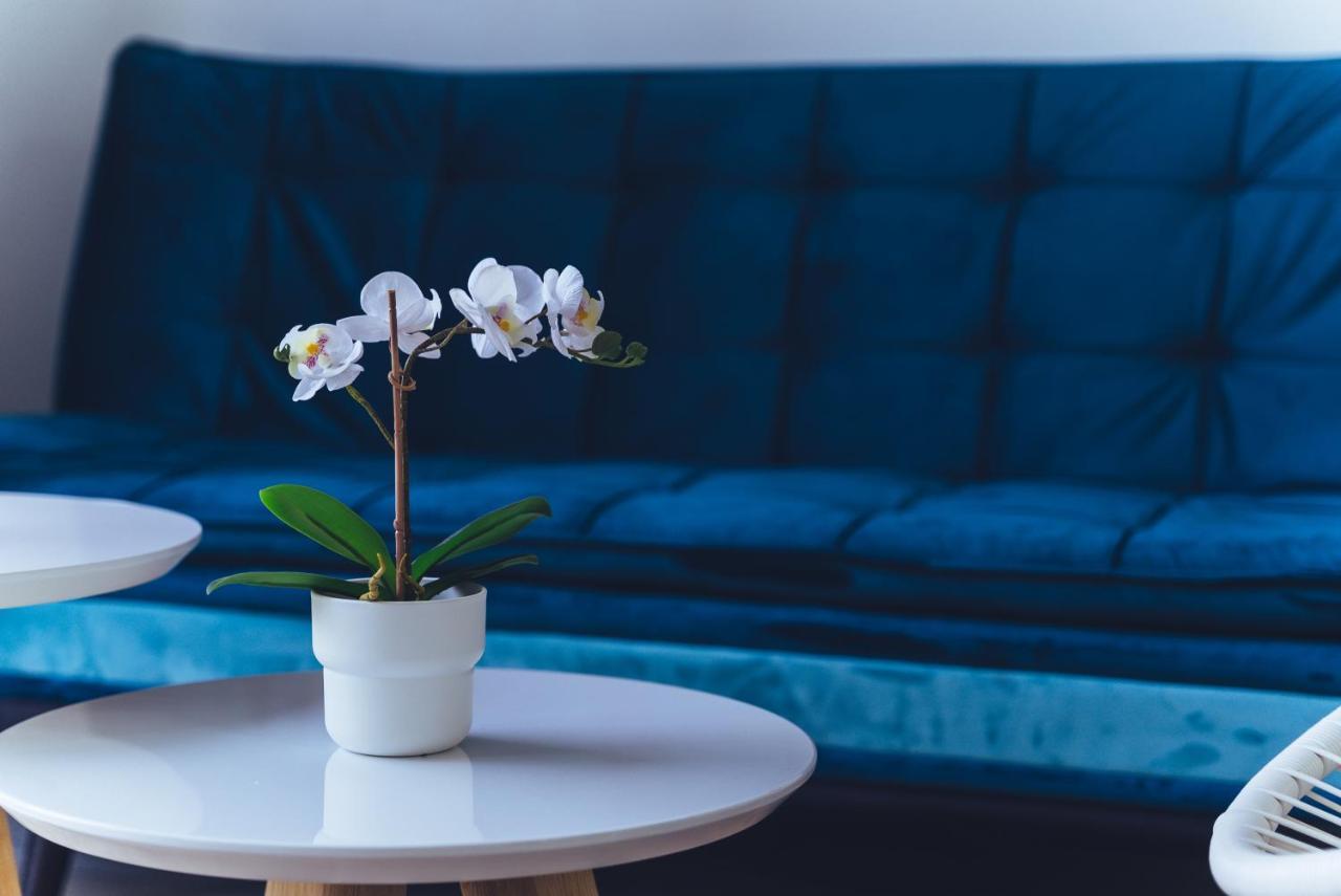Apartamento Alisios Beach Puerto Del Carmen Puerto del Carmen  Exteriér fotografie